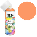 Pumpkin Euro-Aerosols Spray Paint