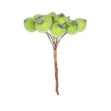 Frosted Berry Bunch (Green, Dia18cm)