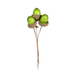 Green Acorn Pick (H11.5cm) Green Acorn Pick (H11.5cm)