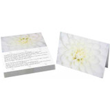 Pink Rose Folded Card with Care Info (pack of 25)