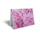 Full Pink Roses Folded Card with Care Info (pack of 25)