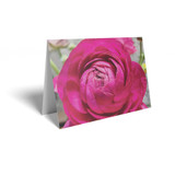 Deep Pink Rose Folded Card with Care Info (pack of 25)