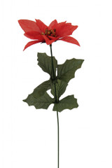 Single Red Poinsettia (x12) Single Red Poinsettia (x12)