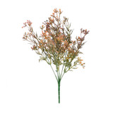 Essential Brown Heather Bud Bush Essential Brown Heather Bud Bush