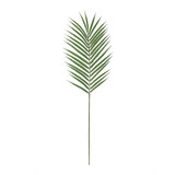 Long Stemmed Palm leaf Long Stemmed Palm leaf
