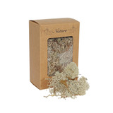 Reindeer Moss Natural in Box (100g) Reindeer Moss Natural in Box (100g)