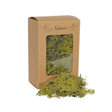 Reindeer Moss Green in Box (100g) Reindeer Moss Green in Box (100g)