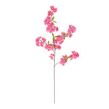 Dark Pink Cherry Blossom Stem Dark Pink Cherry Blossom Stem