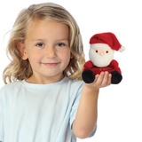 Santa Claus Plush (5 inch) 