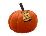 Velvet Plush Pumpkin (16cm) (Assorted Designs)