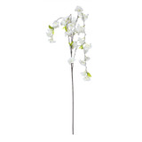 Essential White Weeping Cherry Blossom Essential White Weeping Cherry Blossom