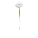 Single White Gerbera (72cm) Single White Gerbera (72cm)