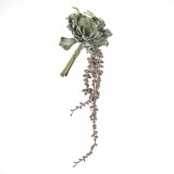 Trailing Succulent Bundle (23cm) Trailing Succulent Bundle (23cm)