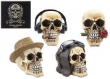Rogue Skull Decorations 15cm (Assorted) Rogue Skull Decorations 15cm (Assorted)
