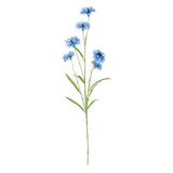 Light Blue Wild Cornflower Spray (63cm) Light Blue Wild Cornflower Spray (63cm)