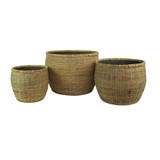 Hortus Classic Bamboo Planter - x 3 Hortus Classic Bamboo Planter - x 3