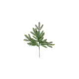 Vermont Spruce Stem (50cm) Vermont Spruce Stem (50cm)