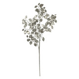 Silver Eucalyptus Foliage Stem Silver Eucalyptus Foliage Stem