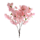 Apple Blossom Tree Branches - Dark Pink - Set of 30