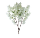 Apple Blossom Tree Branches - Cream - Set of 30