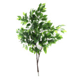 Ficus Tree Branches - Green - Set of 30