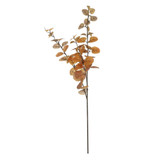Essential Autumn Eucalyptus Stem - Brown Essential Autumn Eucalyptus Stem - Brown