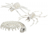 Assorted Skeleton Animals Assorted Skeleton Animals