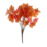 Essential Autumn Maple Bush - Red Essential Autumn Maple Bush - Red