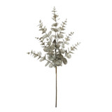 Eucalyptus Spray - Gold (60cm) Eucalyptus Spray - Gold (60cm)