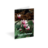 Christmas Cyclamen Folded card (Pack of 25) Christmas Cyclamen Folded card (Pack of 25)
