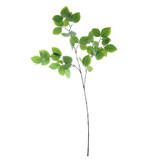 Green Beech Spray (97cm) Green Beech Spray (97cm)