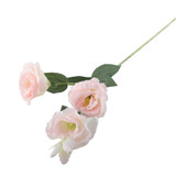 Essential Pink Lisianthus Essential Pink Lisianthus