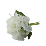Essential White Hydrangea Bouquet Essential White Hydrangea Bouquet