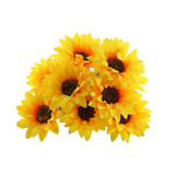 Essential Sunflower Mix Bush Essential Sunflower Mix Bush