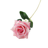 Essential Pink Rose Essential Pink Rose