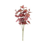 Essential Red Eucalyptus Bush Essential Red Eucalyptus Bush