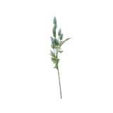 Essential Blue Thistle Essential Blue Thistle