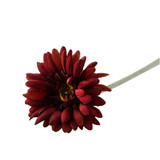 Essential Burgundy Gerbera Essential Burgundy Gerbera
