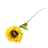 Essential Yellow Sunflower Essential Yellow Sunflower