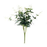 Essential Dark Green Ruscus Bush Essential Dark Green Ruscus Bush