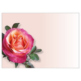 Pack of 6 Large Pink Rose Cards Pack of 6 Large Pink Rose Cards