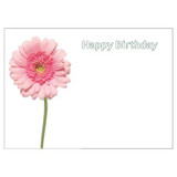 Pack of 6 Large Happy Birthday Pink Gerbera Cards Pack of 6 Large Happy Birthday Pink Gerbera Cards