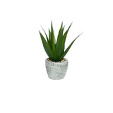 Botanica Potted Aloe (30cm) Botanica Potted Aloe (30cm)