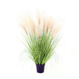 Potted Pampas Bush (86cm)