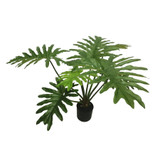 Botanica Philodendron Plant in pot (92cm) Botanica Philodendron Plant in pot (92cm)