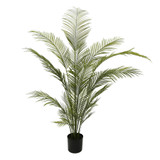 Botanica Areca Palm in Pot (180cm) Botanica Areca Palm in Pot (180cm)