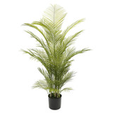 Botanica Areca Palm in Pot (150cm) Botanica Areca Palm in Pot (150cm)