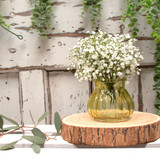 Yellow Veneto Bubble Glass Jar Vase (7.5cm) Yellow Veneto Bubble Glass Jar Vase (7.5cm)