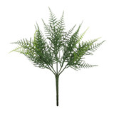 Exterior Junglist Asparagus Bush (34cm) Exterior Junglist Asparagus Bush (34cm)