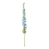 Botanica Giant Blue Delphinium (137cm) Botanica Giant Blue Delphinium (137cm)